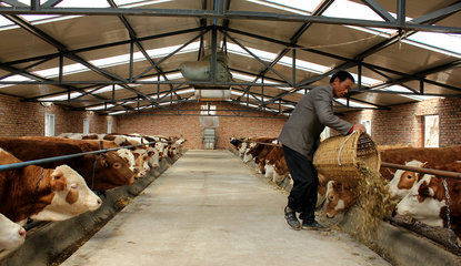【走進“三農”】張家川五大產業齊并進（三）畜牧設備技術開發 賦能傳統養殖，驅動產業升級